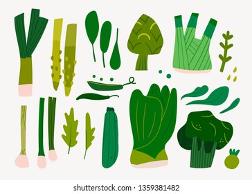 Various tasty healthy green vegetables and leaves. Hand drawn vector set. Colored illustration in trendy style. Flat design. All elements are isolated