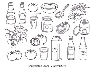 Vários tomates e produtos de tomate conjunto. Sumo de tomate, tomate fresco, ketchup, pasta de tomate e ingredientes. Ilustração de esboço desenhado à mão.