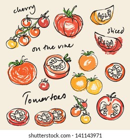 Various tomatoes vector illustration