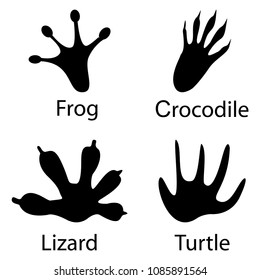 Various traces of amphibians. Frog, lizard, crocodile, paw turtle vector design