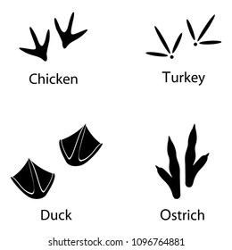 Various traces of poultry. Duck, chicken, ostrich, turkey paws vector