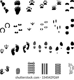 Various tracks in black collection