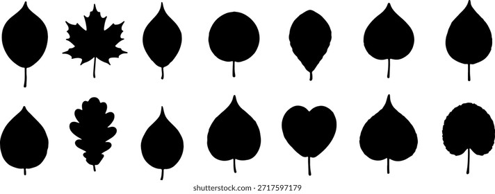 Varias siluetas de hojas de árbol con diferentes Formas botánicas, incluido el arce