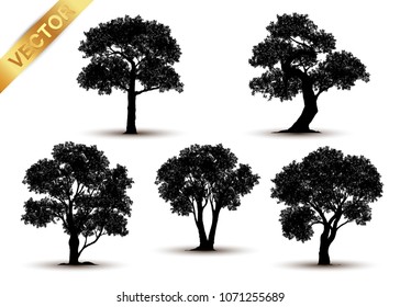 various tree silhouettes isolated on white background vector. ​different black tree silhouettes for landscape design. ​Nature vector elements: Mixed leafy and bare tree silhouettes set.​Tree silhouette icons bundle for architectural and environmental design.
