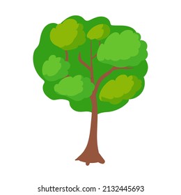 Various trees and bushes. Landscaping. Elements of the park zone. Vector illustration isolated on white background