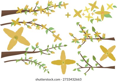 verschiedene Bäume der Forsythia, die im Frühling blühen