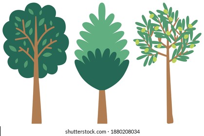 Various trees growing on the island of Crete. Traditional plants in Greece vector illustration. Olive and other deciduous trees isolated on a white background. Plants from countries with warm climate