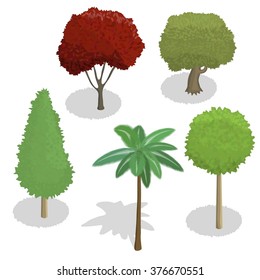 various trees set . Vector illustration.