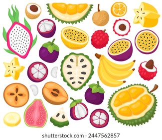 Various tropical exotic fruits on a white background. Banana, passion fruit, lychee, longan, mangosteen, durian, pitaya, dragon fruit, guava, carambola, sapodilla, annona. Summer illustration.