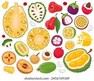 Varias frutas tropicales exóticas sobre un fondo blanco. Ilustración de verano de dibujos animados, frutas y rebanadas. jaquetón, durión, chirimoya, mangostán, manzana rosa, carambola, lichi, longan, feijoa. 