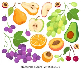Various tropical fruits on a white background. Grape, pear, apple, cherry, orange, tangerine, peach, apricot, avocado. Fruits and slices, summer illustration. 
Collection of fruit illustrations.