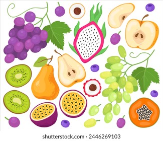 Varias frutas tropicales sobre un fondo blanco. Uva, pitaya, pera, manzana, maracuyá, kiwi, lichi, longan, bayas. Frutas y rebanadas, ilustración de verano. 