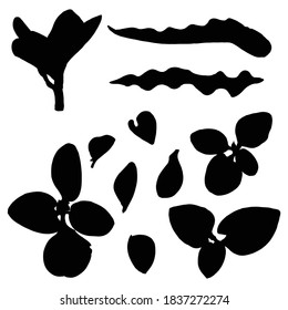 Various tropical jungle leaves set in black. Isolated palm tree branches and herbs leaf or foliage silhouette. Vector.