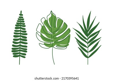 Various tropical leaves on a white background.