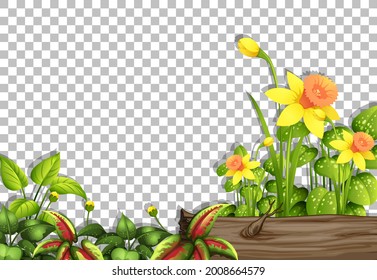 Various tropical plants on transparent background illustration