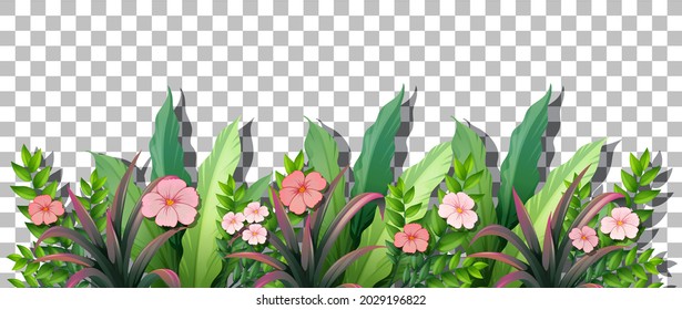 Various tropical plants on transparent background illustration