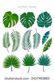 Varias hojas de árboles tropicales, hojas de verano, elementos de plantas de verano