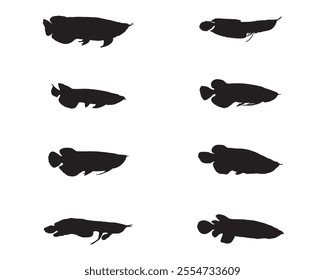 various type of arowana fish silhouette vector illustration.tropical aquarium fish black shadow collection