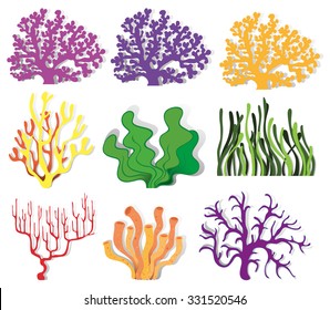 Diversos tipos de ilustración de arrecifes de coral