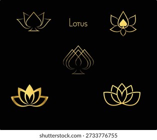 Vários tipos de design de vetor de flor de lótus