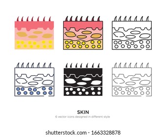Various type of skin set with the same frame types vector Illustrations