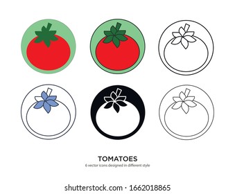 Various type of tomatoes set with the same frame types vector Illustrations