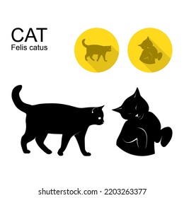 Various Types Of Animal Behavior And Expressions In Silhouette Format And Cute Icons. Felis Catus Or Cat, Known For Its Softness And Cuteness With Walking From Side And Sleep Action