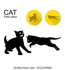 various types of animal behavior and expressions in silhouette format and cute icons. felis catus or cat, known for its soft fur and cuteness with scared fright terrified stand and jump hunting action