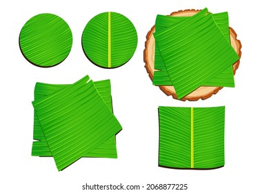 various types of banana leaves vector on a white background