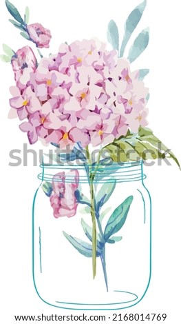 Various types of beautiful flowers arranged in jars and vases. on a white background