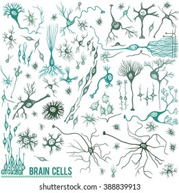 Various types of brain cells, doodle background for your science, medicine or education-related design.