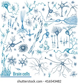 Various types of brain cells, doodle background for your science, medicine or education-related design. Blue cells on white background.