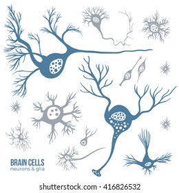 Various types of brain cells, doodle background for your science, medicine or education-related design.