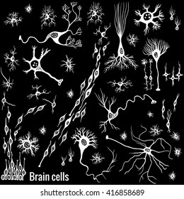 Various types of brain cells, doodle background for your science, medicine or education-related design.