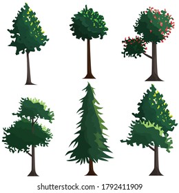 Various types of cartoon trees isolated on white background. Nature landscape illustration.