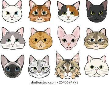  Varios tipos de caras de gato.