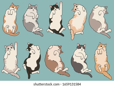 2,334 Cats rolling Images, Stock Photos & Vectors | Shutterstock