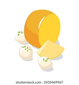 Varios tipos de queso sobre fondo blanco 