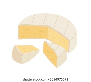 Various types of cheese realistic vector illustration. camembert cheese on white background. Curd product for design, recipe book, advertising or restaurant menu