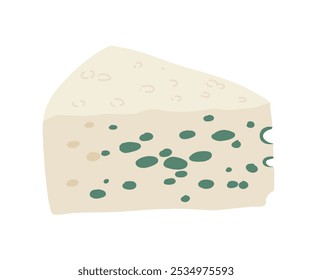 Vários tipos de queijo ilustração vetorial realista. queijo roquefort isolado em fundo branco. Produto de coalhada para design, livro de receitas, publicidade ou menu de restaurante