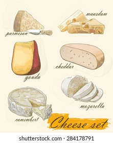  various types of cheese set of colorful vector sketches on a background