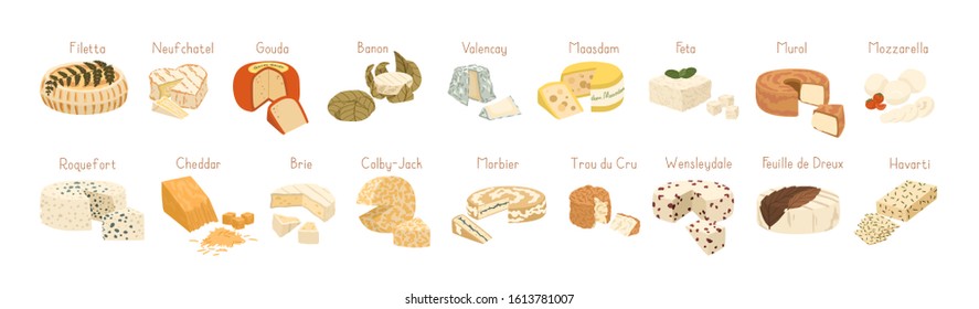 Various types of cheese set realistic vector illustration. Cottage cheeses collection isolated on white background. Curd product for design, recipe book, advertising or restaurant menu