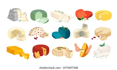 Various types of cheese set realistic vector illustration. Cottage cheeses collection isolated on white background.Curd delicatessen food product for design, recipe book,advertising or restaurant menu