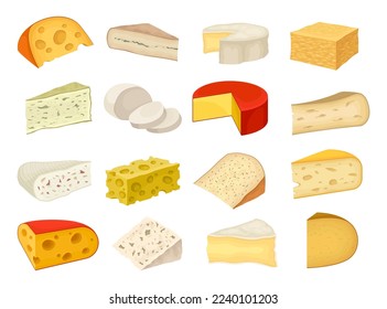 Various Types of Cheese Slabs as Gourmet Dairy Product Big Vector Set