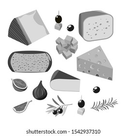 Various types of cheeseon a white background . Vector set of realistic  dairy products. Isolated  collection cheese pieces and Slices used for restaurant menu.