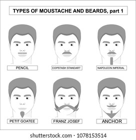 VARIOUS TYPES, COLLECTION OF MOUSTACHE AND BEARDS WITH TITLES, SUCH AS PENCIL, COPSTASH STANDART, NAPOLEON IMPERIAL. flat design. background informaion.