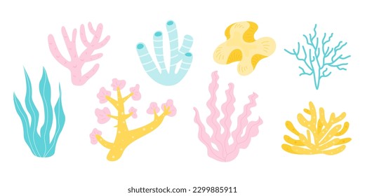 Various types of coral reefs, algae and seaweed