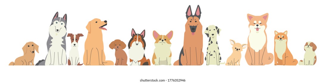 Various types of dogs lined up next to each other