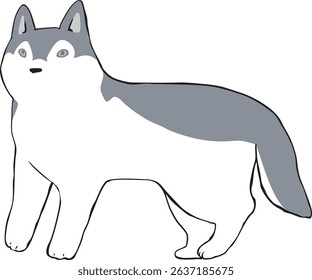 Various types of dogs - Siberian Husky