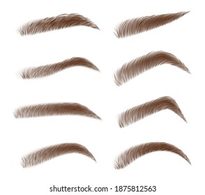 Various types of eyebrows. Classic type and different eyebrow thickness. Brown eyebrow bag. Brown eyebrows isolated on white background. Vector illustration